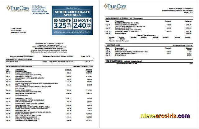 USA TrueCore Federal Credit Union account statement Word and PDF, 2 pages